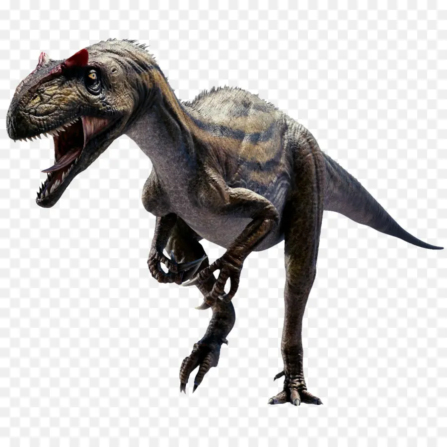 Allosaurus，Tiranossauro PNG