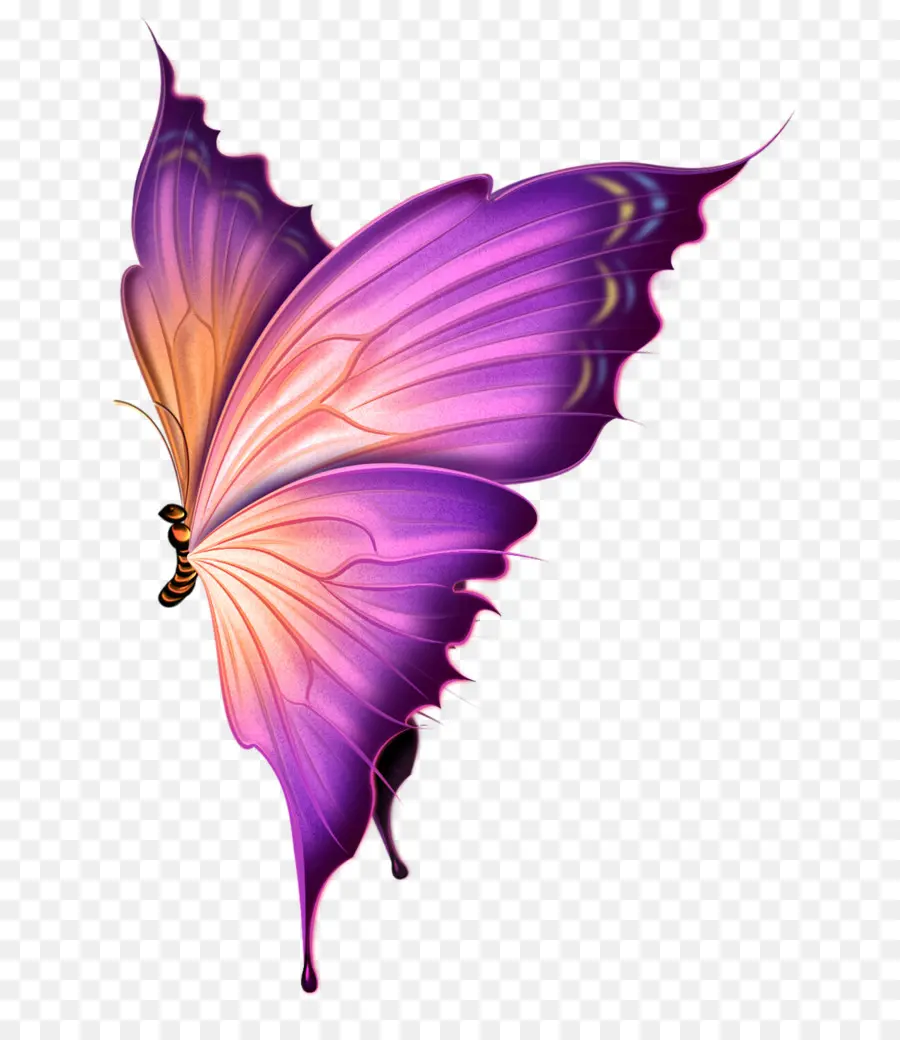 Borboleta，Roxo PNG