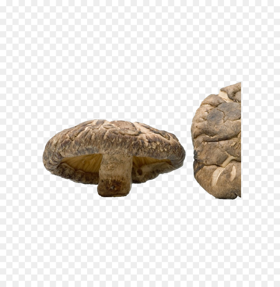 Shiitake，Cogumelo PNG