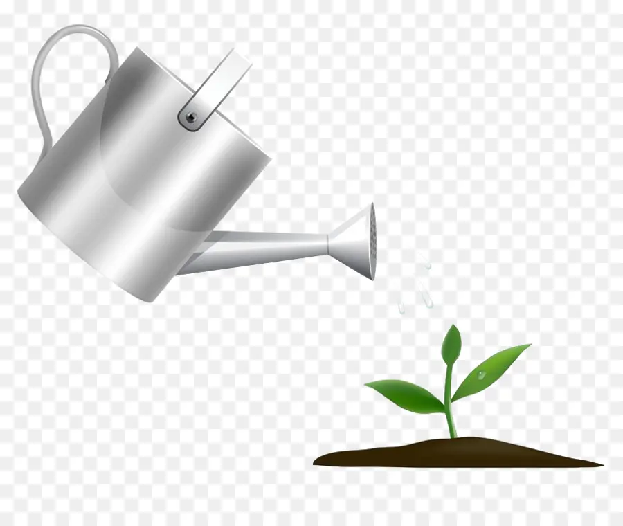 Regador E Planta，Rega PNG