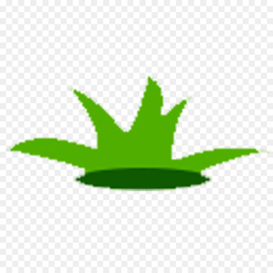 Folhas，Verde PNG