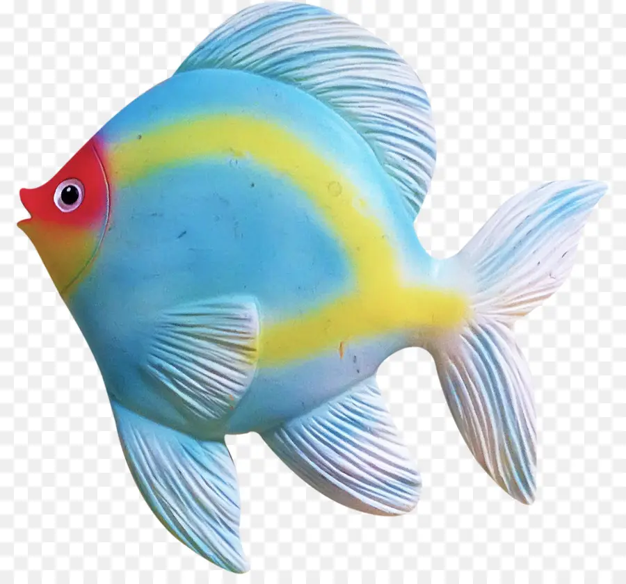 Peixe，Peixes Tropicais PNG