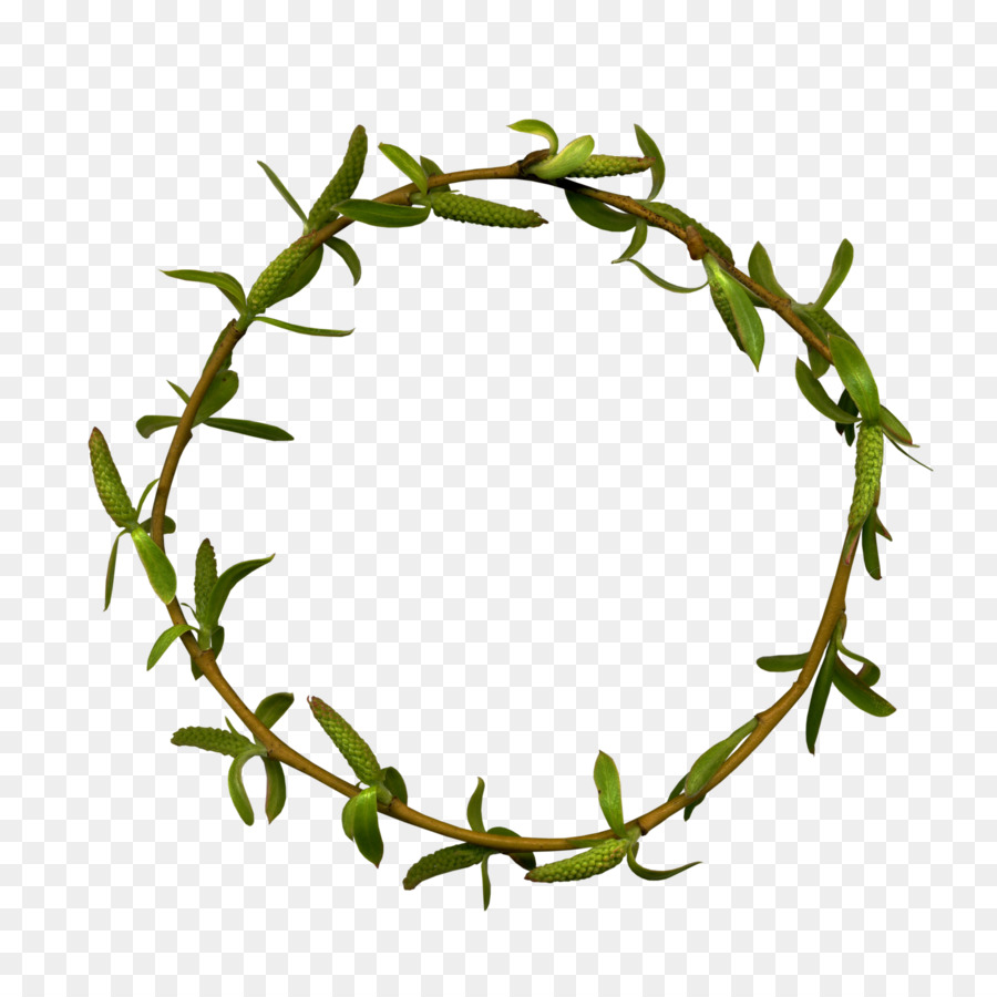 Coroa De Folhas Verdes，Círculo PNG