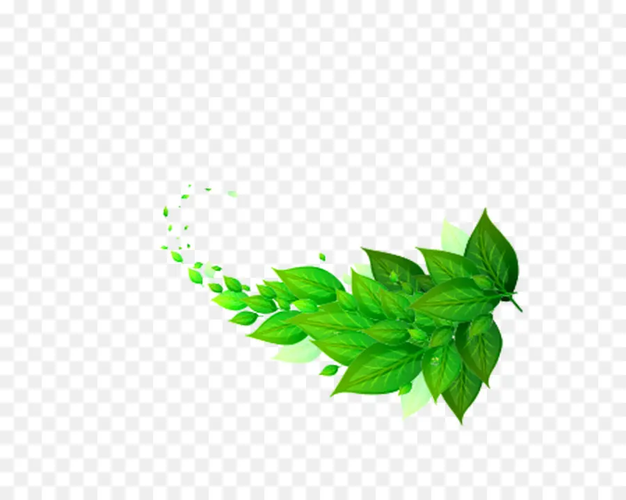 Folhas Verdes，Plantar PNG