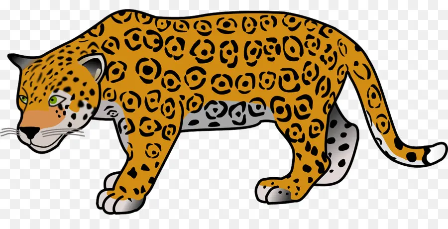 Jaguar，Cheetah PNG