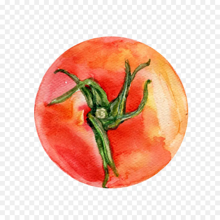 Tomate，Bush Tomate PNG