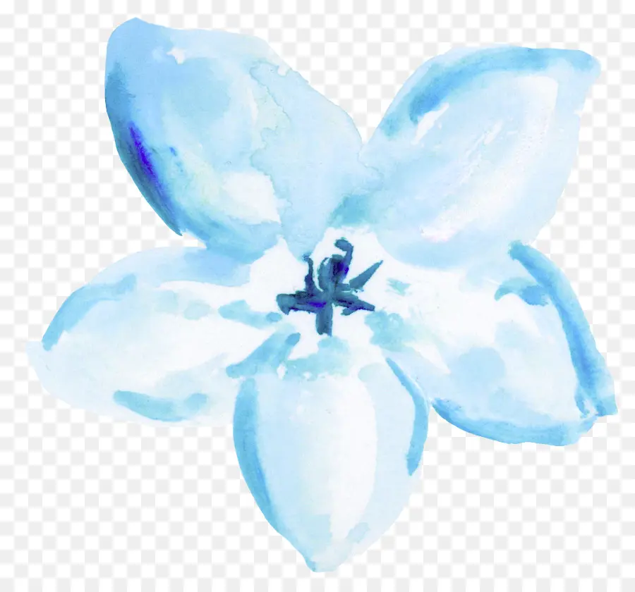 Flor Azul，Flor PNG