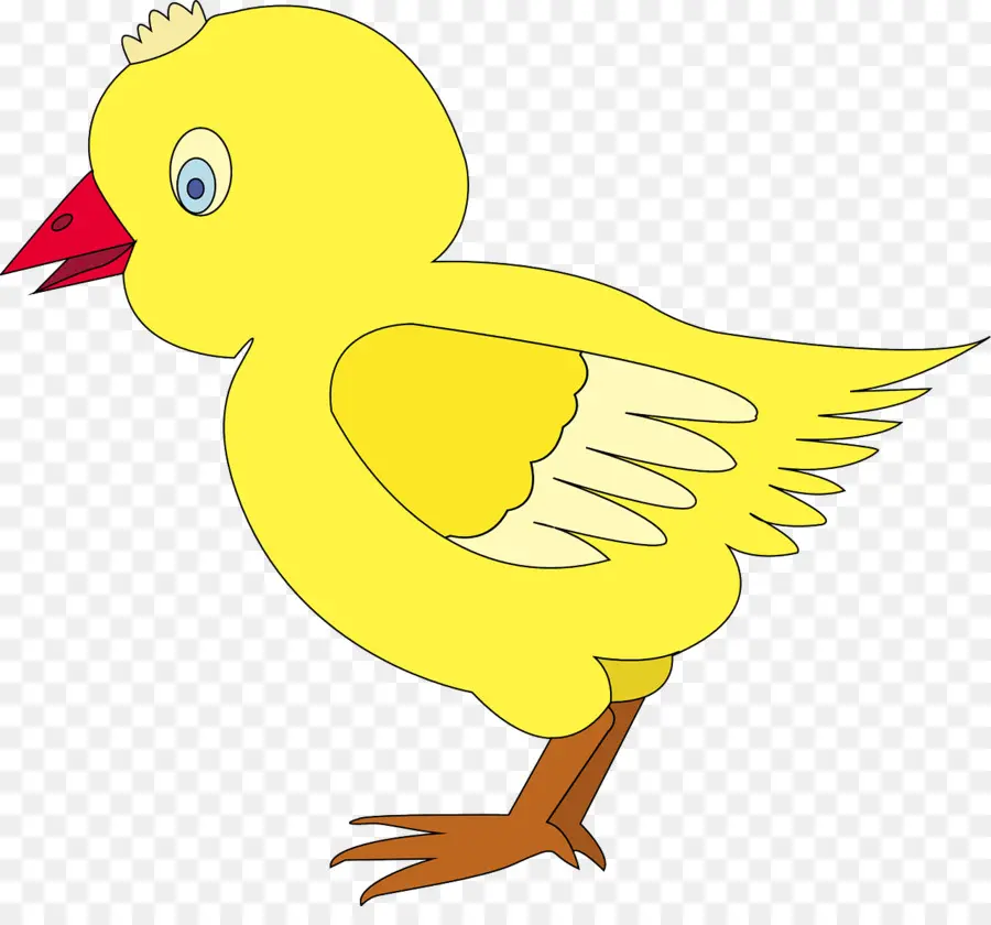 Frango，Ovo PNG