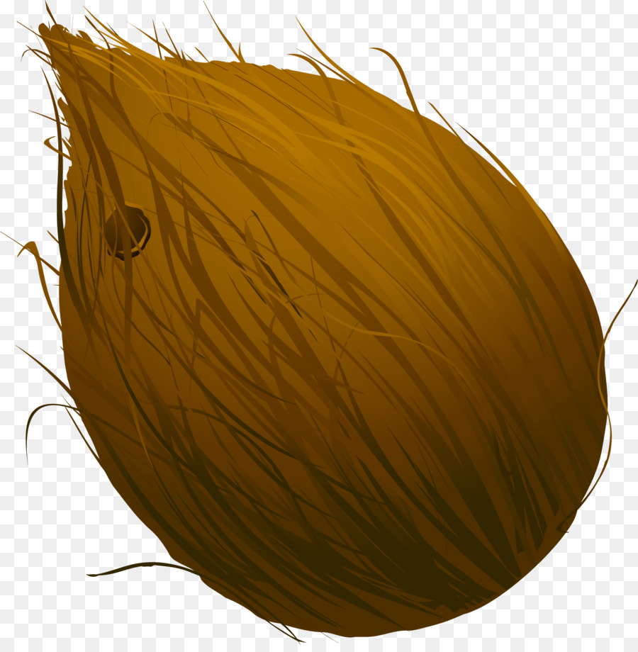 Coco，Fruta PNG