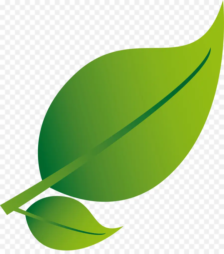 Folha Verde，Plantar PNG