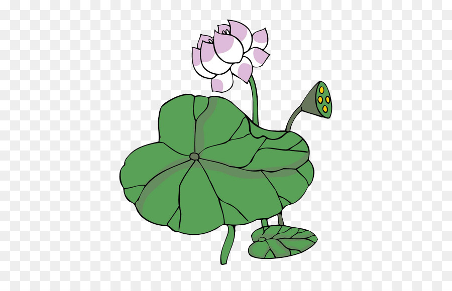 Flor De Lótus，Folha PNG