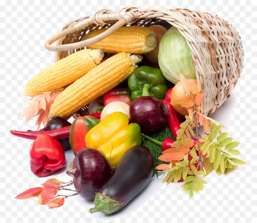 Matérias Foodism，Vegetal PNG