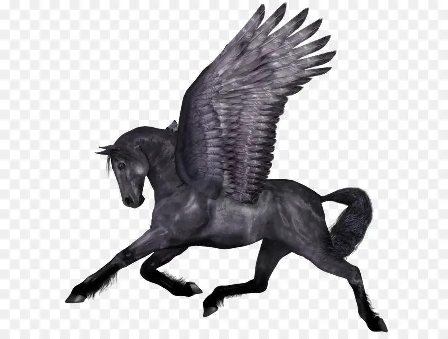 Cavalo，Pegasus PNG