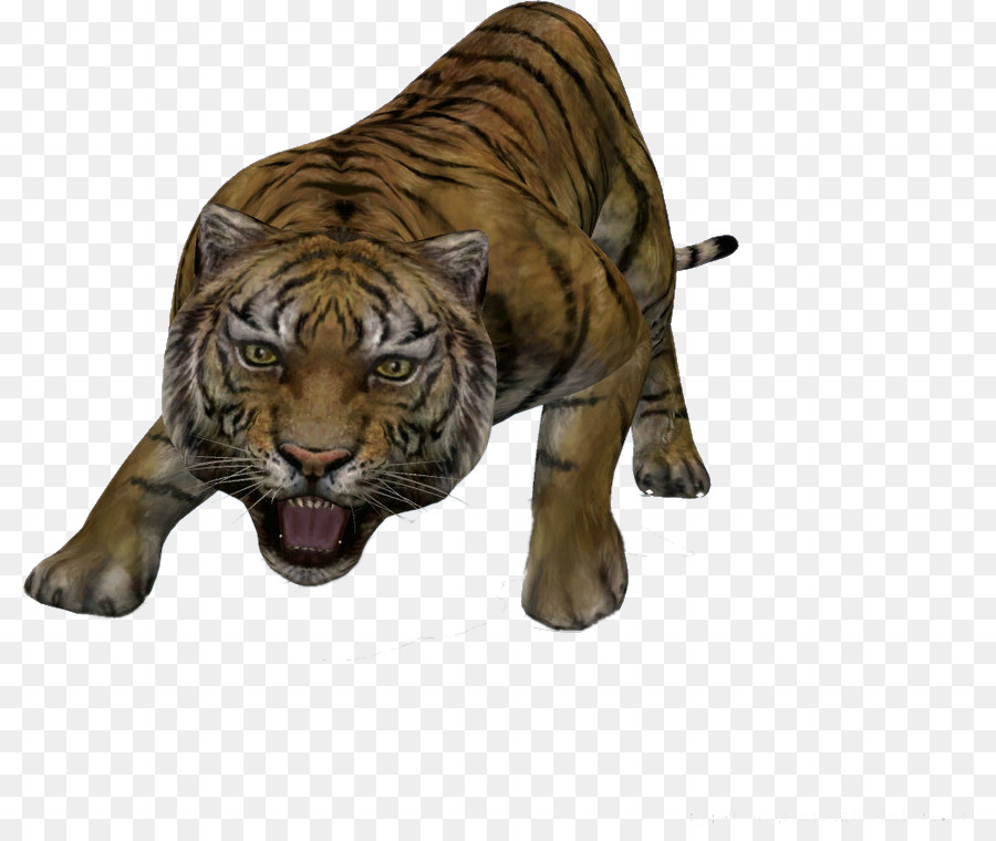 Fundo Transparente De Tigre Branco 3d PNG , 3d, Animal, Fundo Transparente  PNG Imagem para download gratuito