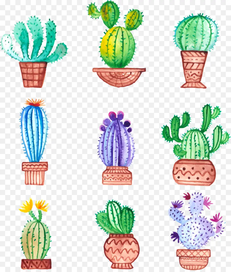 Cactaceae，Pintura PNG