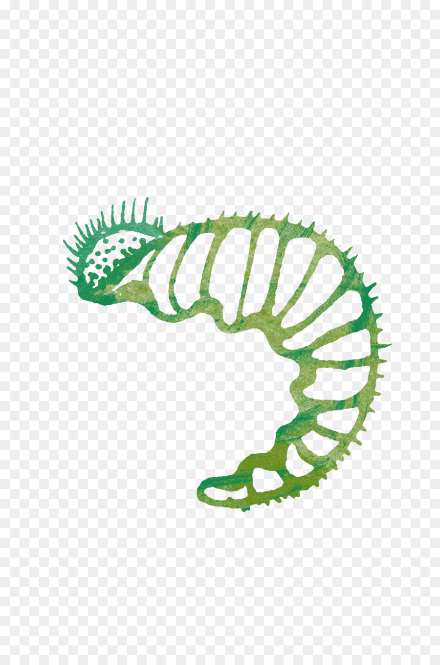 Caterpillar，Download PNG