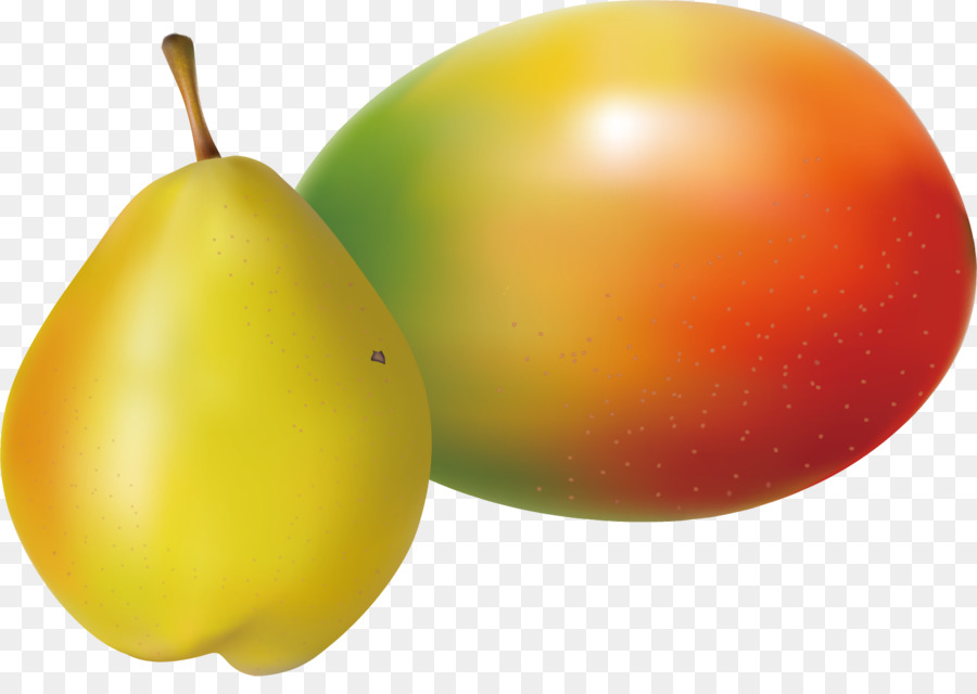 Pyrus Nivalis，Download PNG