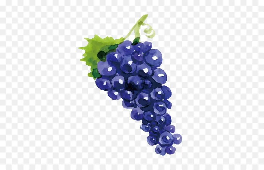 Uva，Vinho PNG