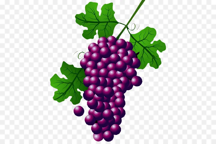 Uvas，Vermelho PNG