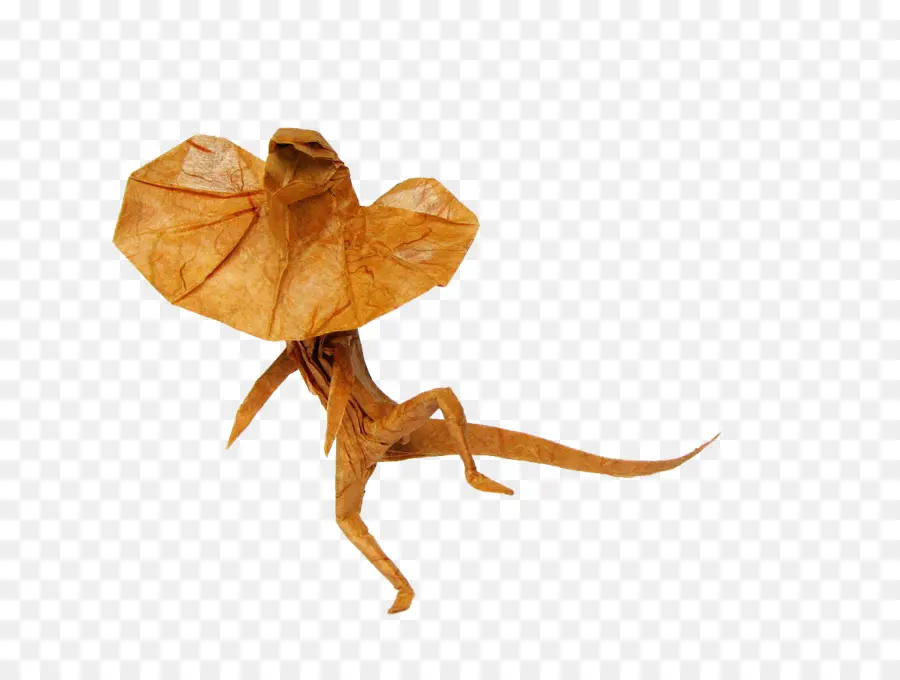 Lagarto De Origami，Papel PNG