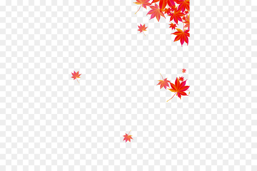 Outono，Maple Leaf PNG