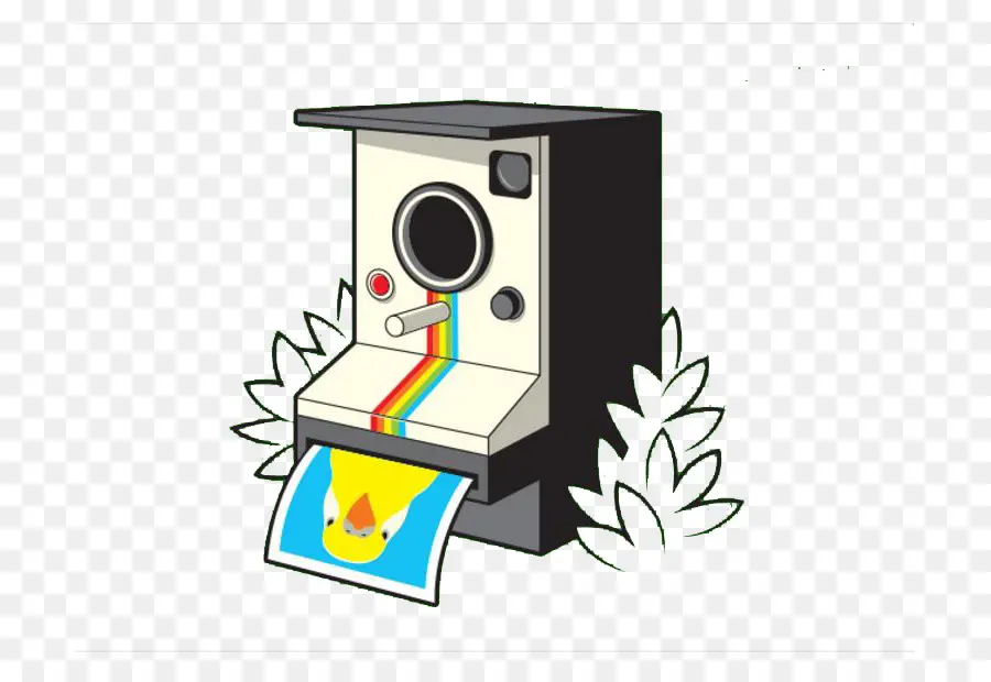 Polaroid Corporation，Câmara PNG
