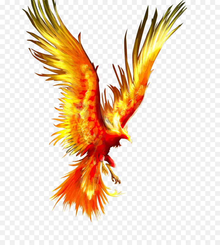 Phoenix，Aves PNG