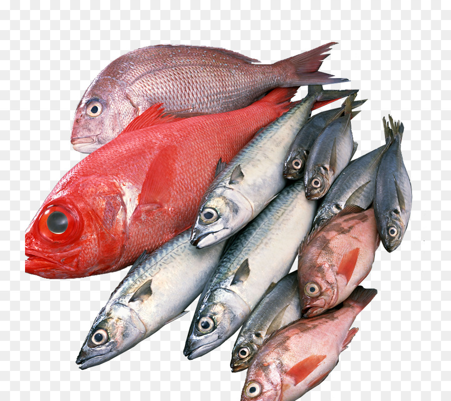 Peixes Variados，Frutos Do Mar PNG