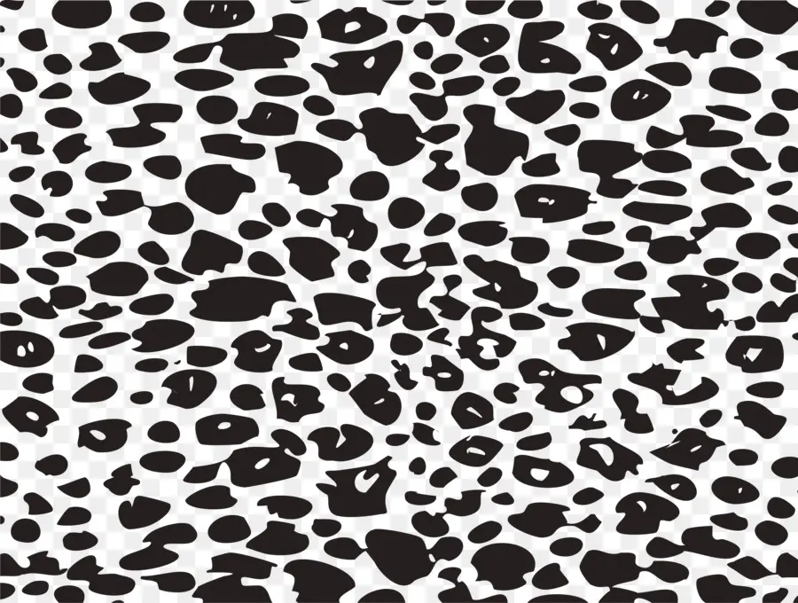 Leopard，Cheetah PNG