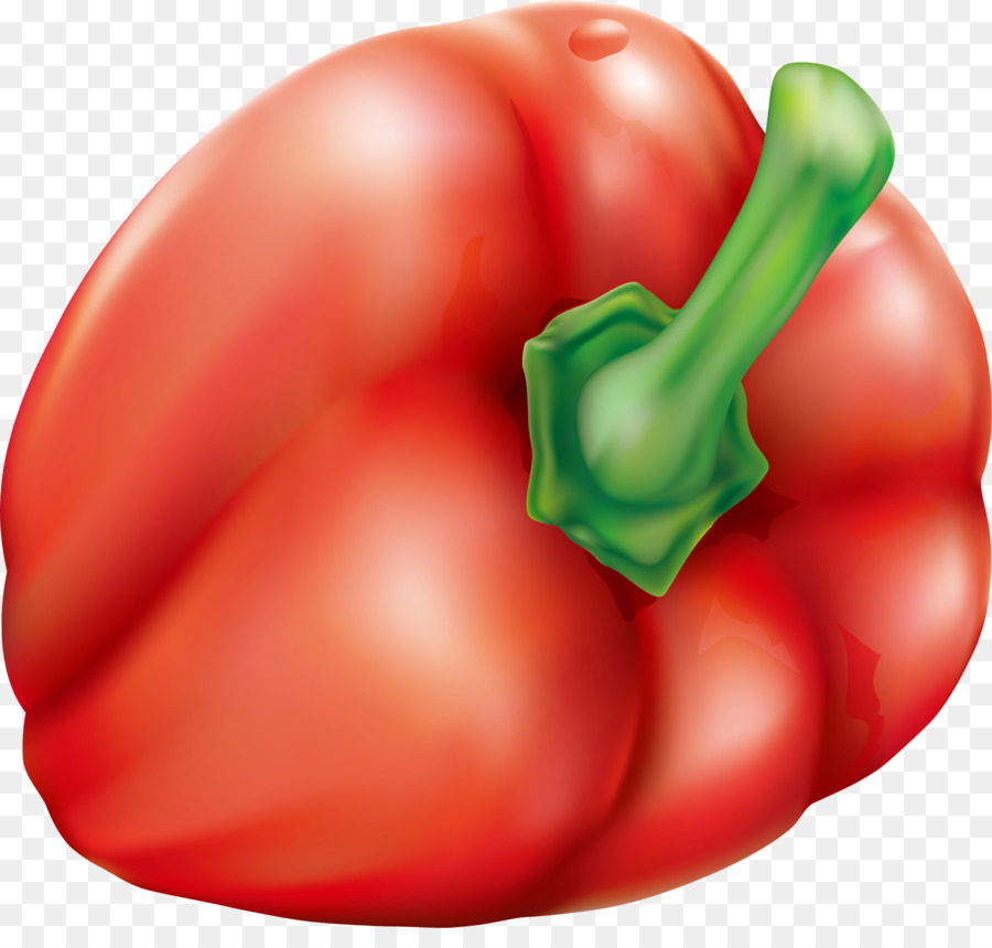 Ameixa Tomate，Bush Tomate PNG