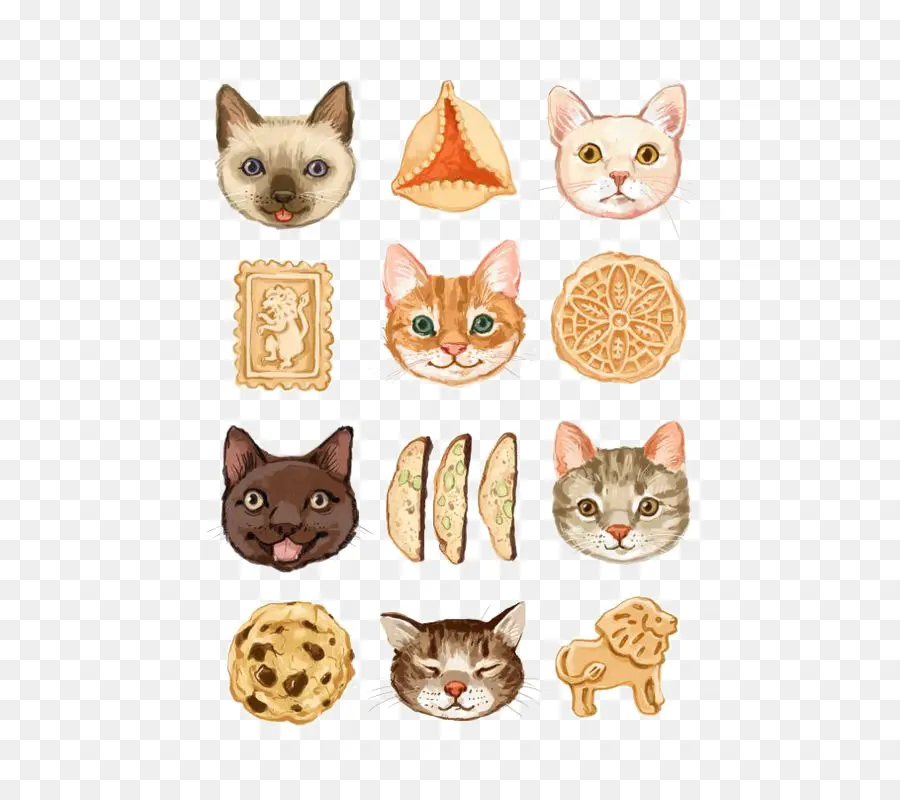 Caras De Gato E Biscoitos，Gatos PNG