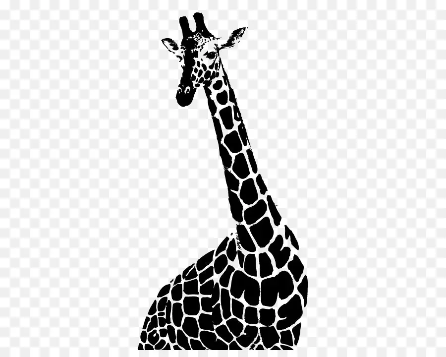 Girafa，Animais Selvagens PNG