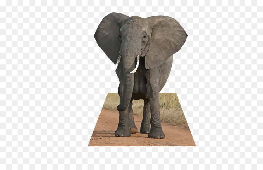 Elefante Africano，Elefante Africano Da Floresta PNG