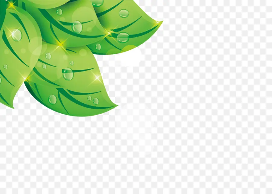 Folhas Verdes，Orvalho PNG