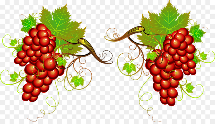 Uvas，Videira PNG