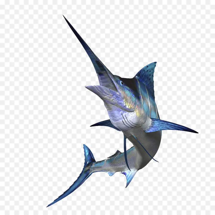 Peixe Espada，Peixe PNG