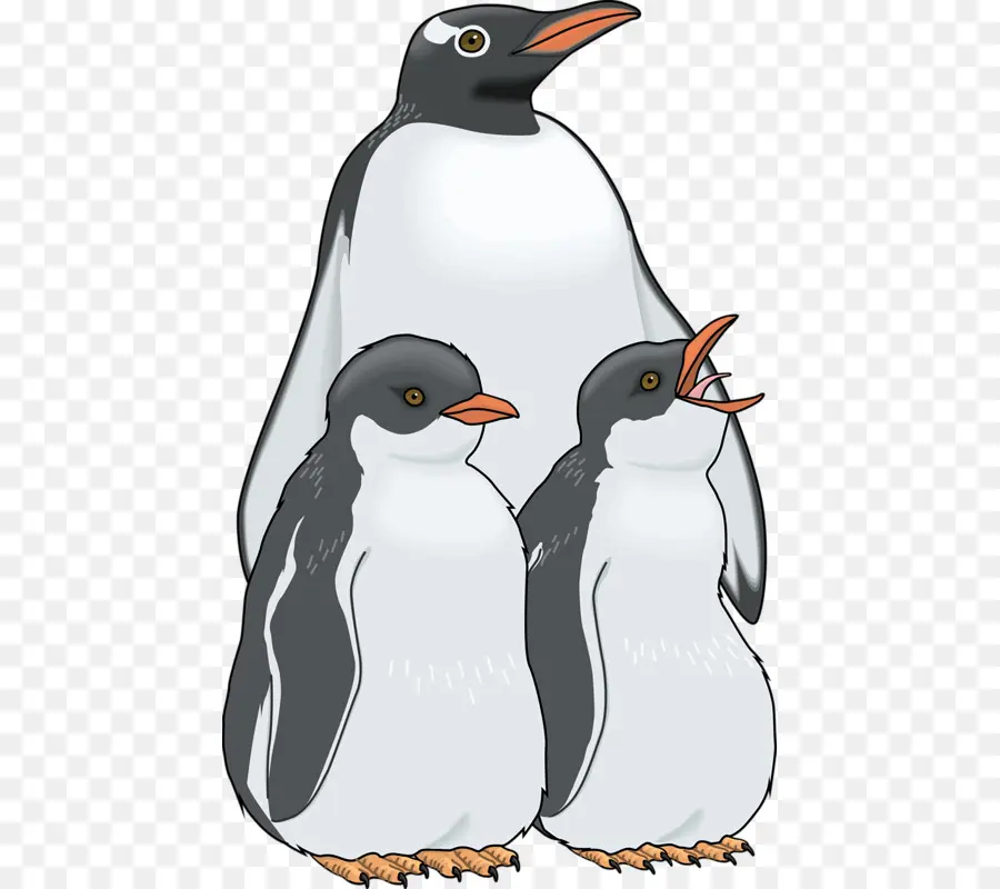 Pinguim E Pintinho，Pai PNG