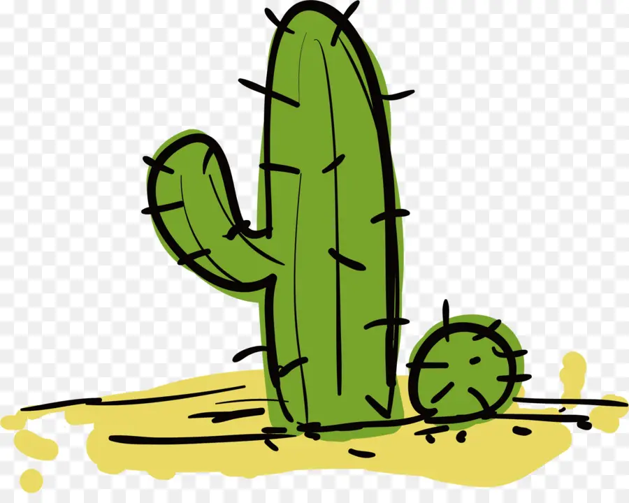 Cactaceae，Pera Espinhosa PNG