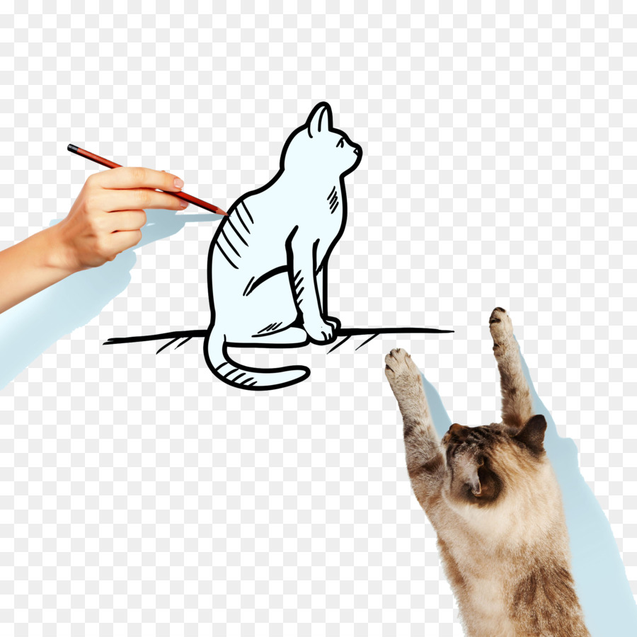 Desenhando Gato，Mão PNG