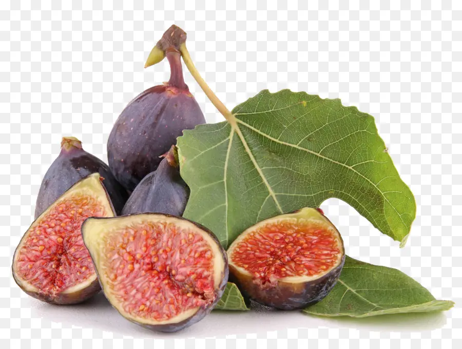Figueira Comum，Fig Leaf PNG