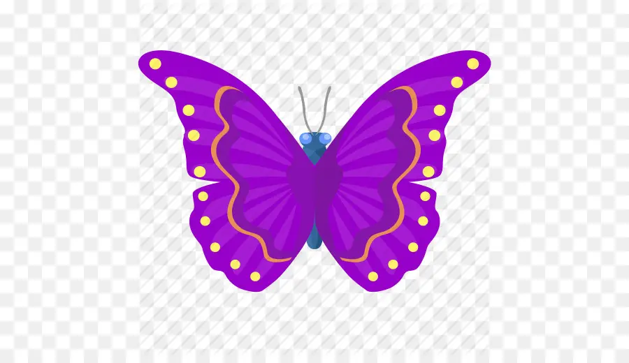 Borboleta，Roxo PNG