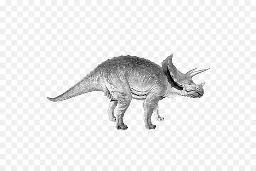 Triceratops，Tiranossauro PNG