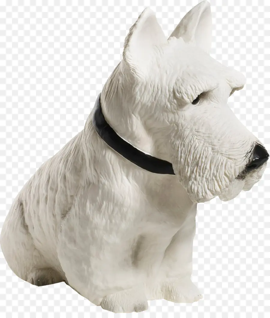 Scottish Terrier，West Highland White Terrier PNG