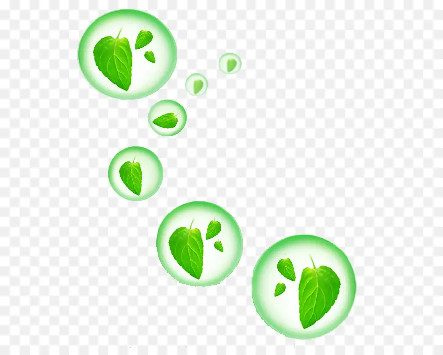 Folhas Verdes，Plantar PNG