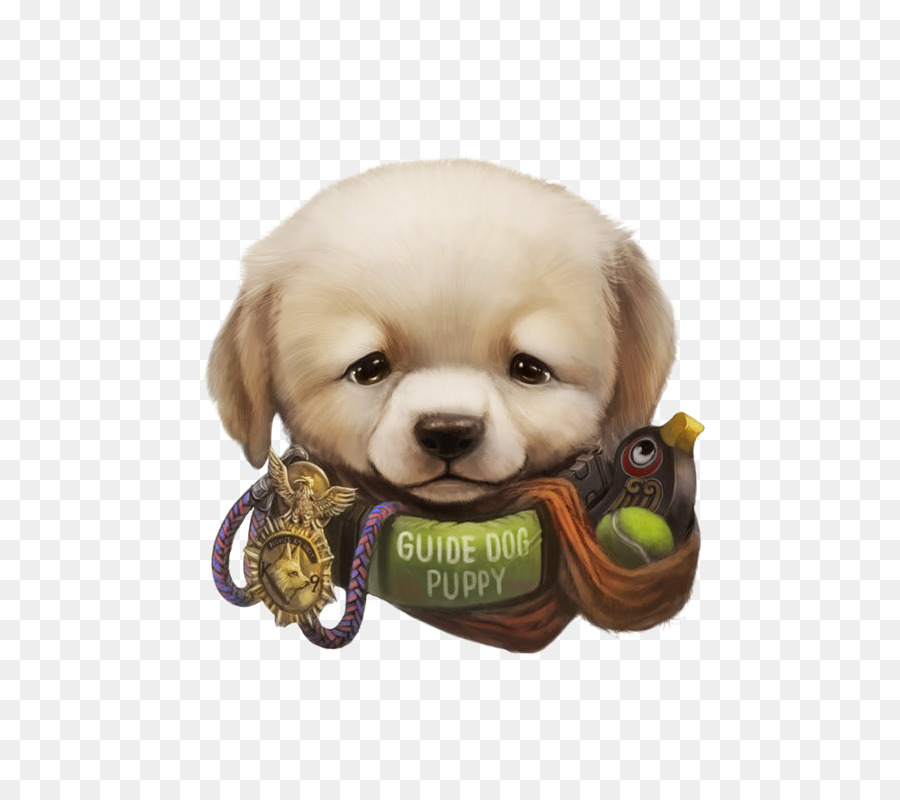 Filhote De Cachorro，Cachorro PNG