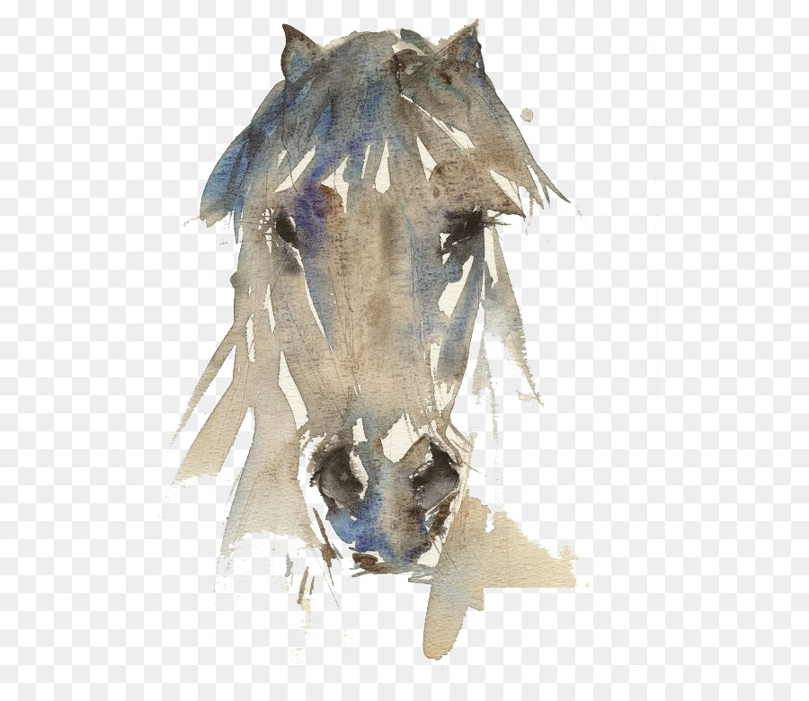 Cavalo linha arte desenho garanhão pintura, cavalo, Pintura em aquarela,  branco png