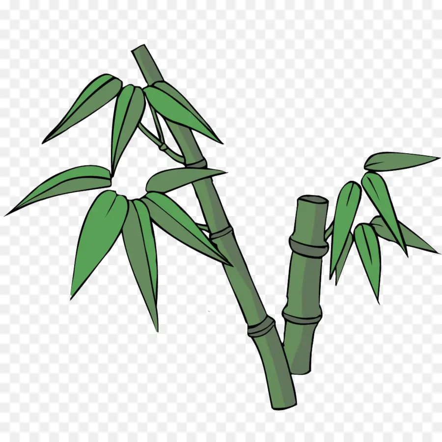 Bambu Verde，Talos PNG