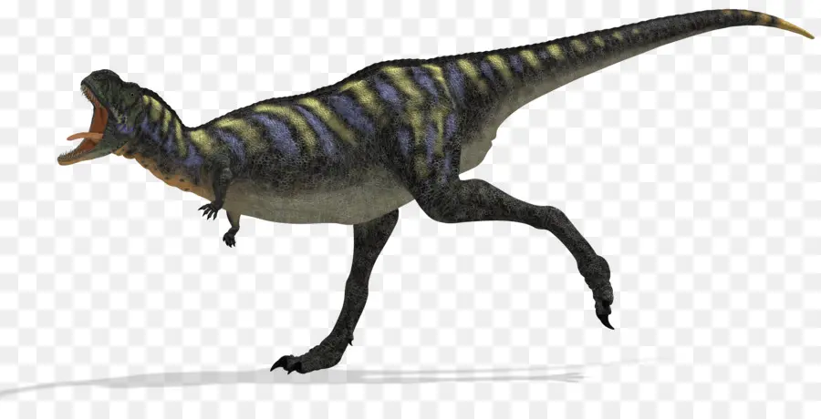 Aucasaurus，Tarascosaurus PNG