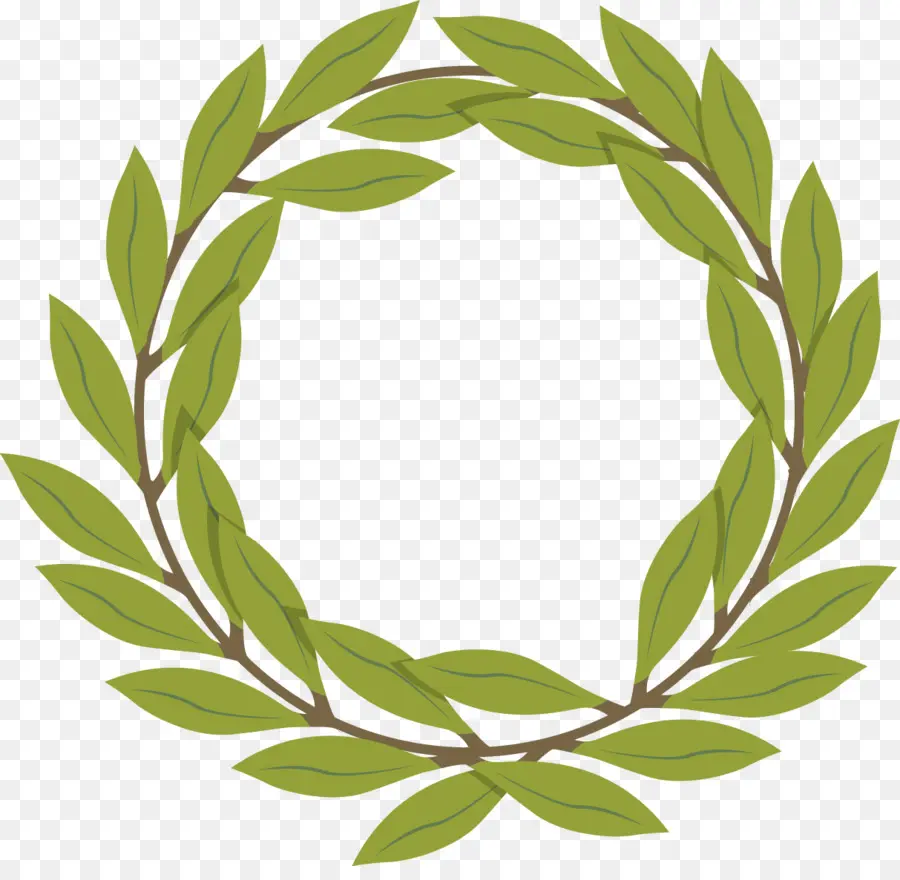 Olive Branch，Ramo PNG