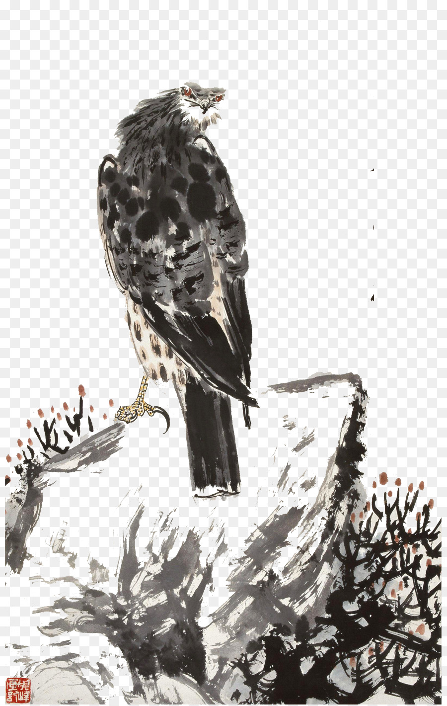 águia Careca，Falcão PNG